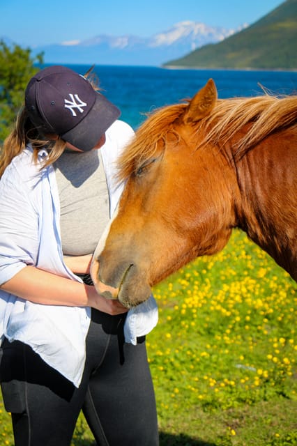 Tromsø: Evening Horseriding Experience - Booking and Cancellation Policy