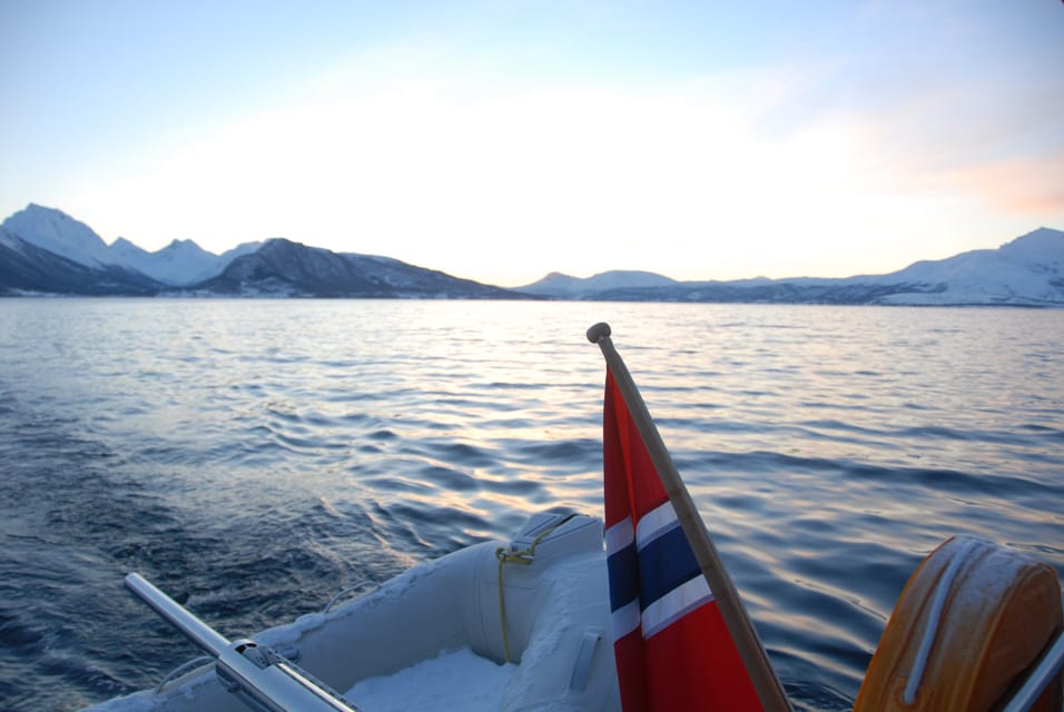 Tromsø: Fjord and Islands Luxury Catamaran Cruise - Customer Feedback