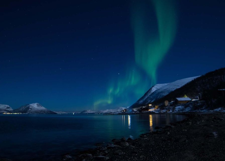 Tromsø: Lyngen Horseback Winter Evening Riding Experience - Unique Features of the Experience