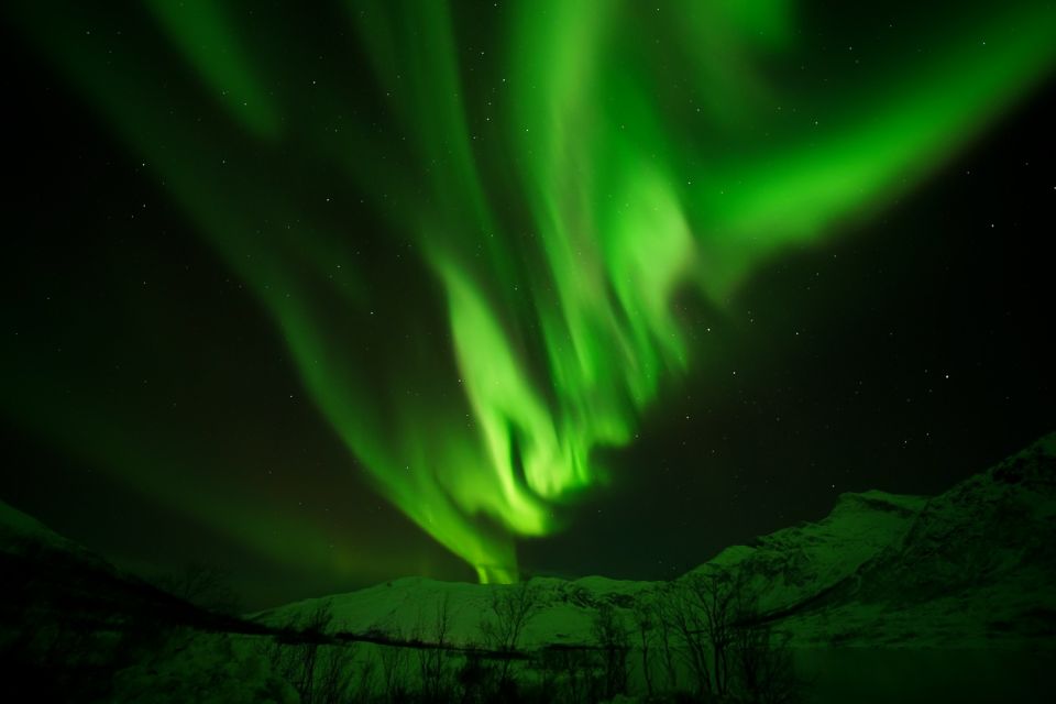 Tromsø: Northern Lights Tour With Free Professional Portrait - Cancellation Policy