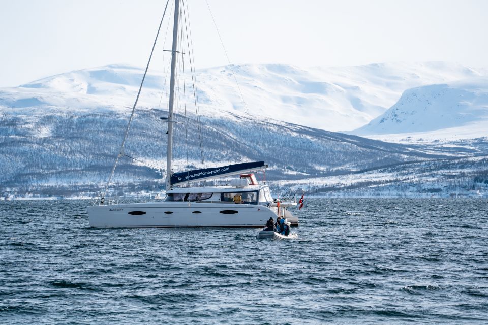 Tromso: Sightseeing Cruise by Catamaran With Snacks & Drinks - Frequently Asked Questions