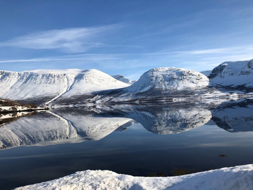 Tromsø Whale Safari With MS Trolltind Nordic - Booking Information