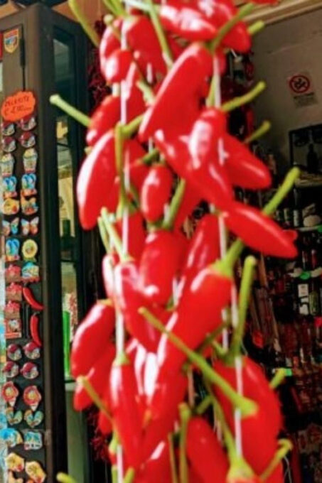 Tropea: Street Food Walking Tour - Participant Age Requirements