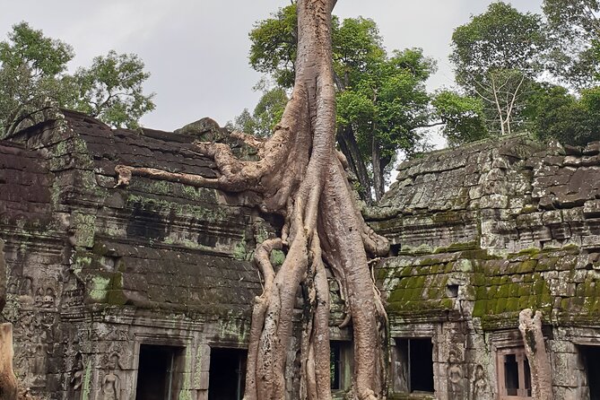 Two Days Angkor Tour - Customer Reviews