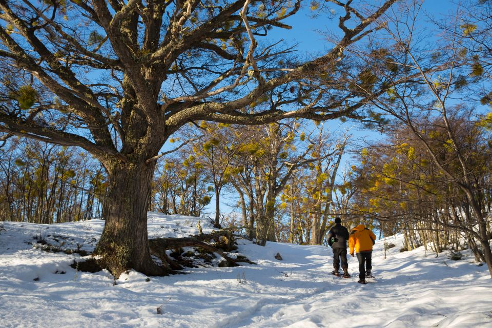 Ushuaia: Winter Tierra Del Fuego Hiking and Canoeing Tour - What to Expect