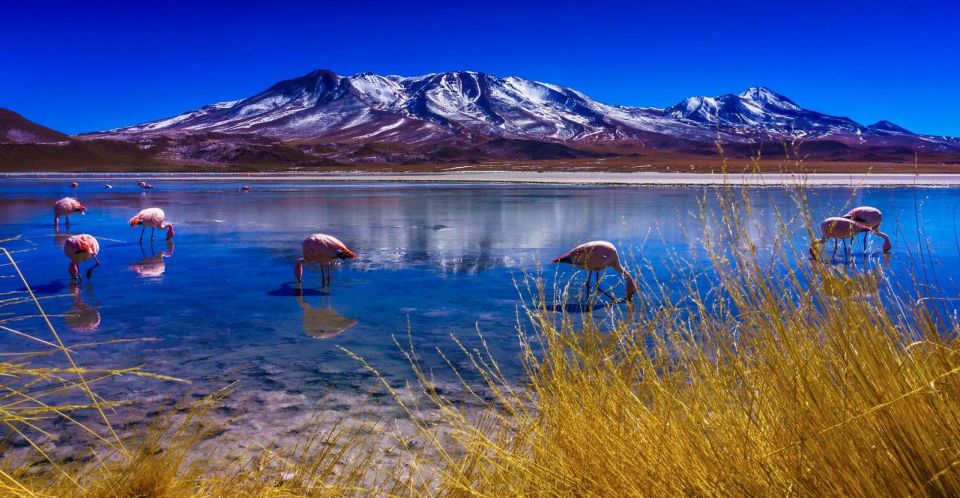 Uyuni Salt Flat - Colored Lagoons Tour - 3 Days/2 Nights - Booking and Cancellation Policies