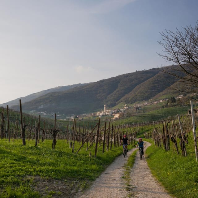 Valdobbiadene: Self-Guided E-Bike Tour in the Prosecco Hills - Local Cuisine and Wine Tastings