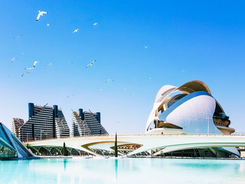 Valencia: Private Half-Day Tour by Car - Booking and Cancellation