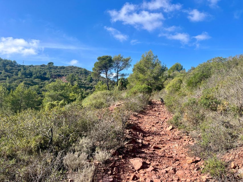 Valencia: Sierra Calderona & El Garbí Mountain Hiking Tour - Cancellation Policy