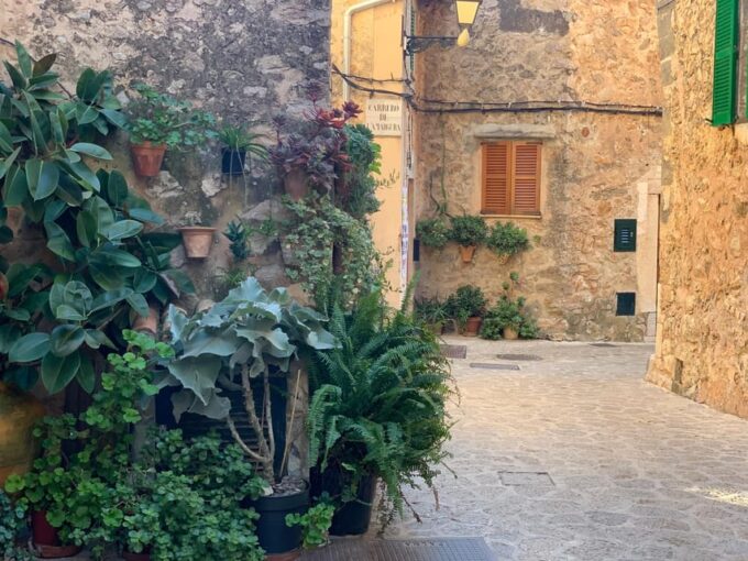 Valldemossa: Town and the Most Beautiful Viewpoints - Experience Inclusions and Amenities