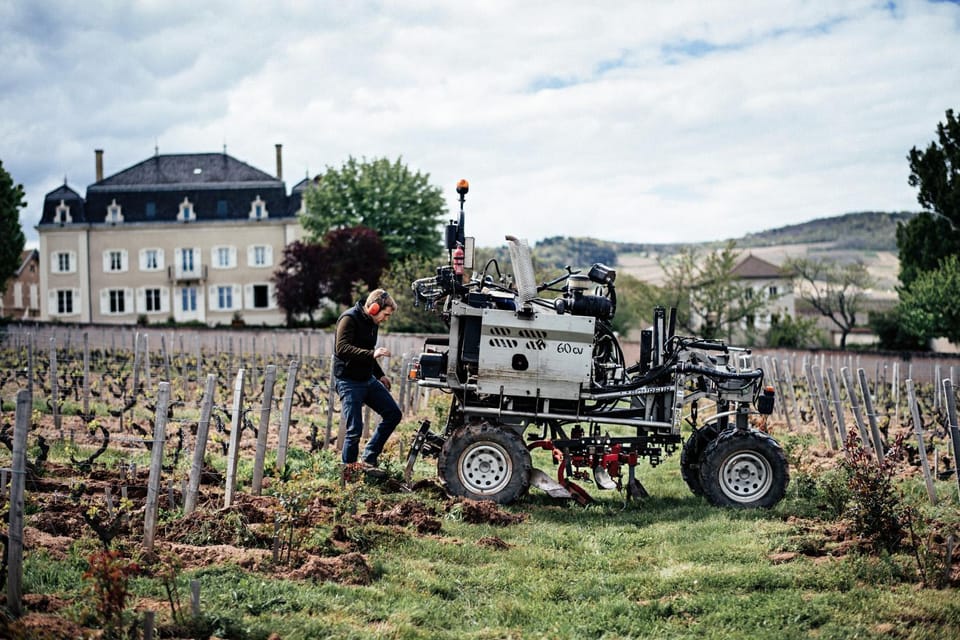 Visit: Château Du Moulin-À-Vent, Where Time Is an Ally - Ambitious Projects