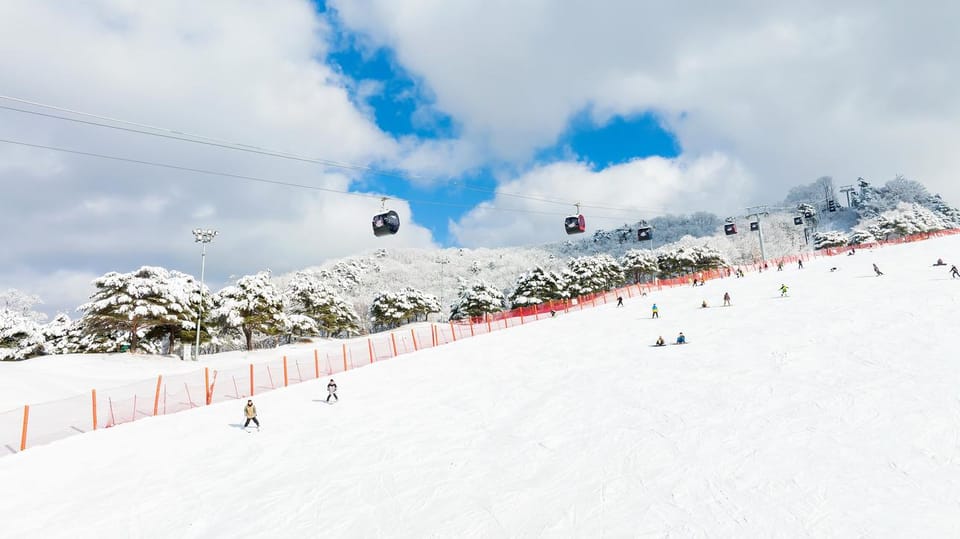 Vivaldi Park_ Ski & Lift Pass (7 Hrs) With Seoul Shuttle - Important Guidelines