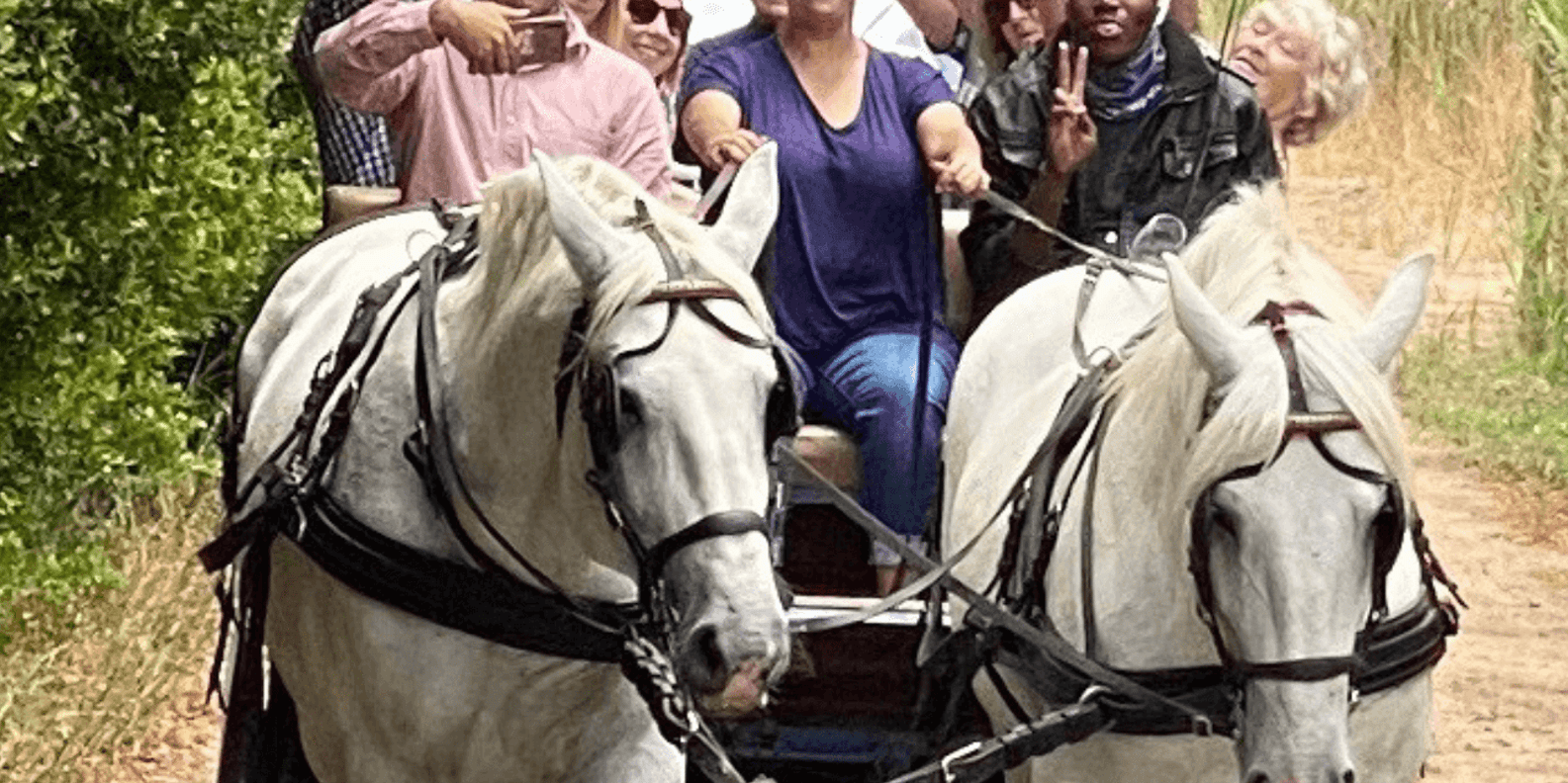 Vrede En Lust Wine Estate: 1H30M Carriage Ride & Wine Taste - Frequently Asked Questions