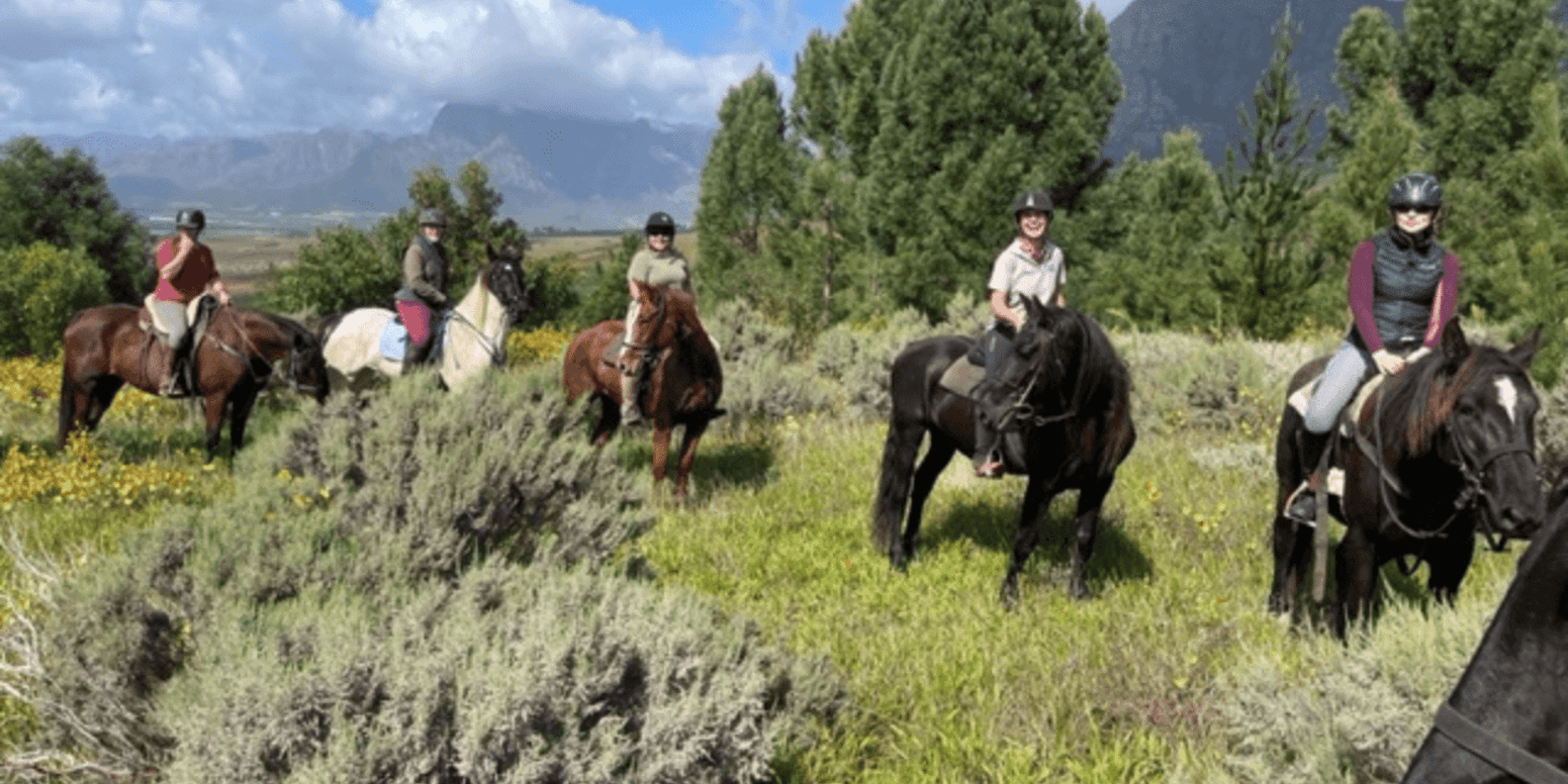 Vrede En Lust Wine Estate: 1h30m Horse Trail Ride - Booking and Cancellation