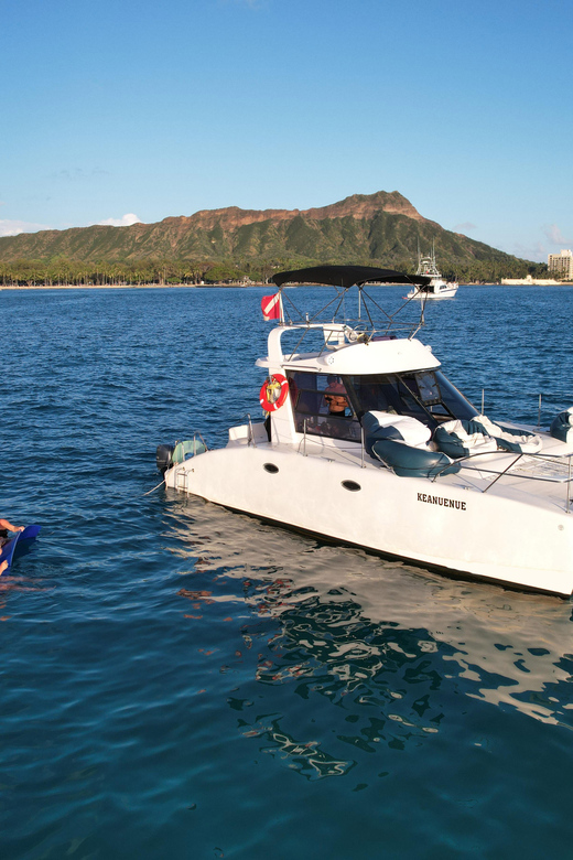 Waikiki: Sea Turtle Snorkeling, Small Group Boat Tour - Highlights