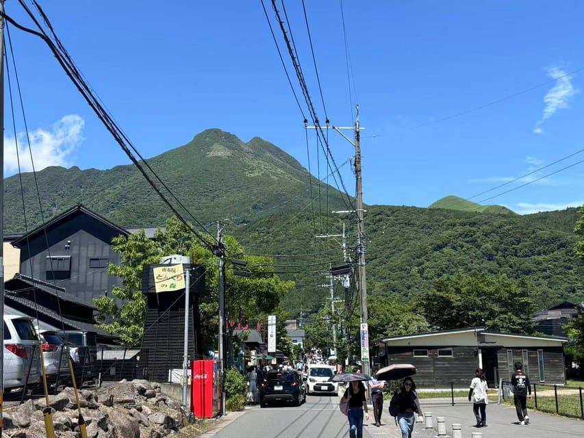 Wild Yufuin: A Day of Lakes, Zoos, and Wonders in Kyushu - Recap