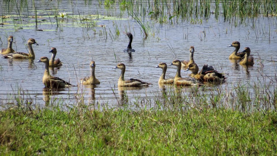 Wilpattu National Park: 3-Hour Morning or Evening Safari - Safety and Precautions