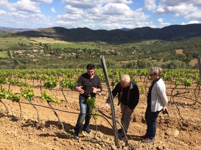 Wine Experience Around Cagliari - Customer Feedback
