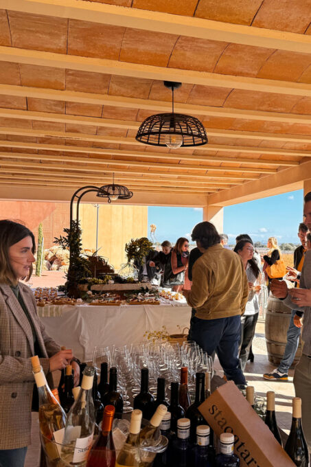 Wine Sunday in Mallorca - Participant Age and Language Options