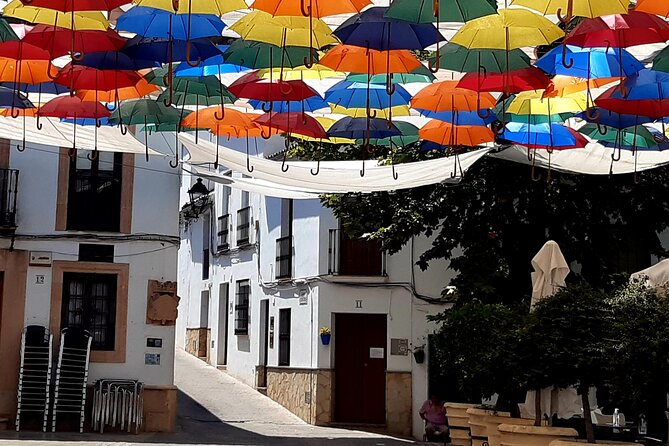 Wine & Tapas Tour by Electric Bike (E-Bike) Including Ronda Pickup (Full Day) - Dietary Requests