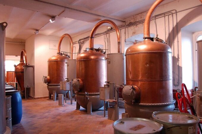 Wine Tasting, Cannes, Coco Chanel, Perfume Factory & Grasse - Included Services
