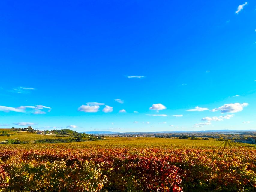 Wine Tasting in Châteauneuf Du Pape - Customer Reviews