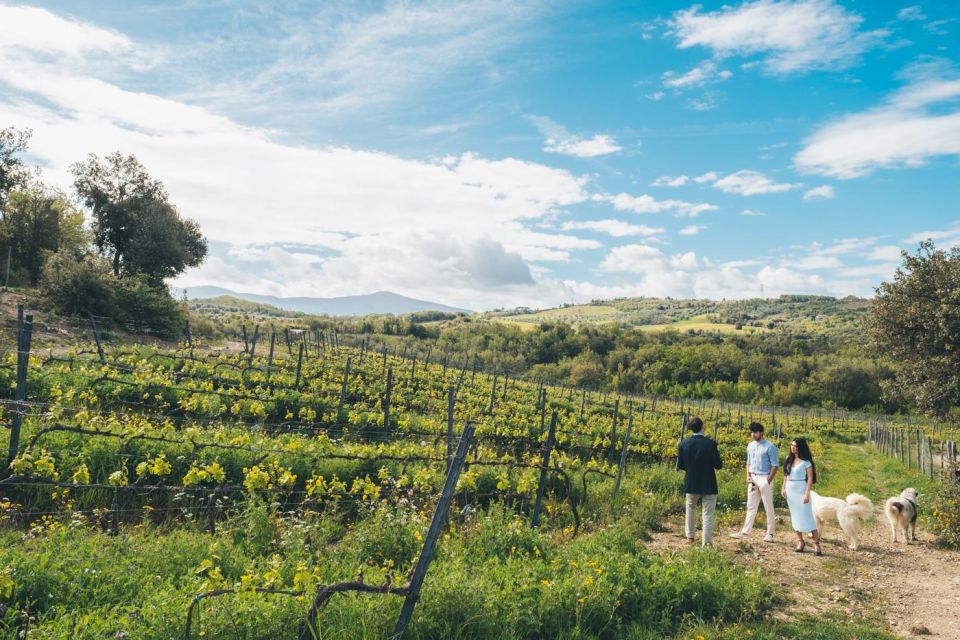 Wine Tasting in Toscana With Priority Access - Frequently Asked Questions