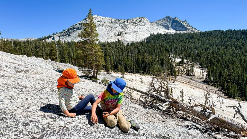 Wonders of Yosemite: Customizable Private Tour - Booking and Cancellation Policy