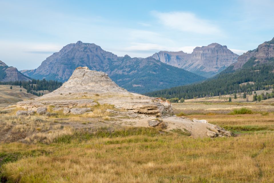 Yellowstone National Park: Self-Guided GPS Audio Tour - Caution and Feedback