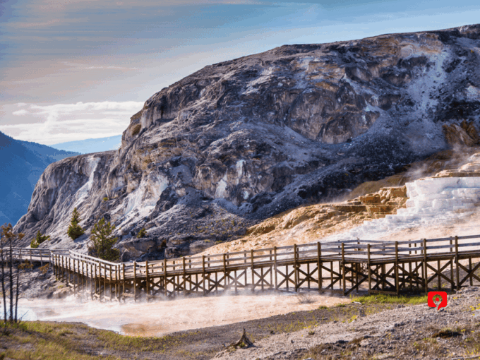Yellowstone National Park: Unforgettable Scenic Drive Tour - Frequently Asked Questions