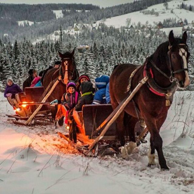 Zakopane: Horse-Drawn Rides With Local Guide & Food Tasting - Frequently Asked Questions