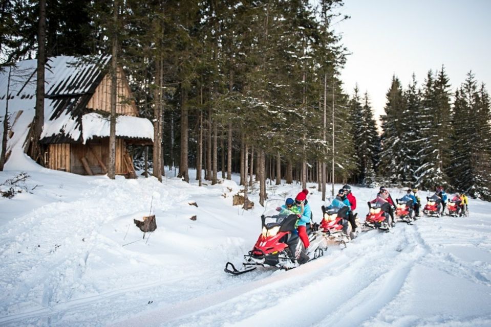 Zakopane: Snowmobile Adventure in Tatra Mountains - Tips for Snowmobiling