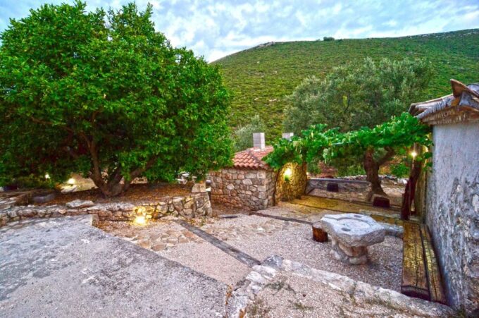 Zakynthos: Vineyard & Winery Tour With Local Winemaker - Exploring the Vineyard