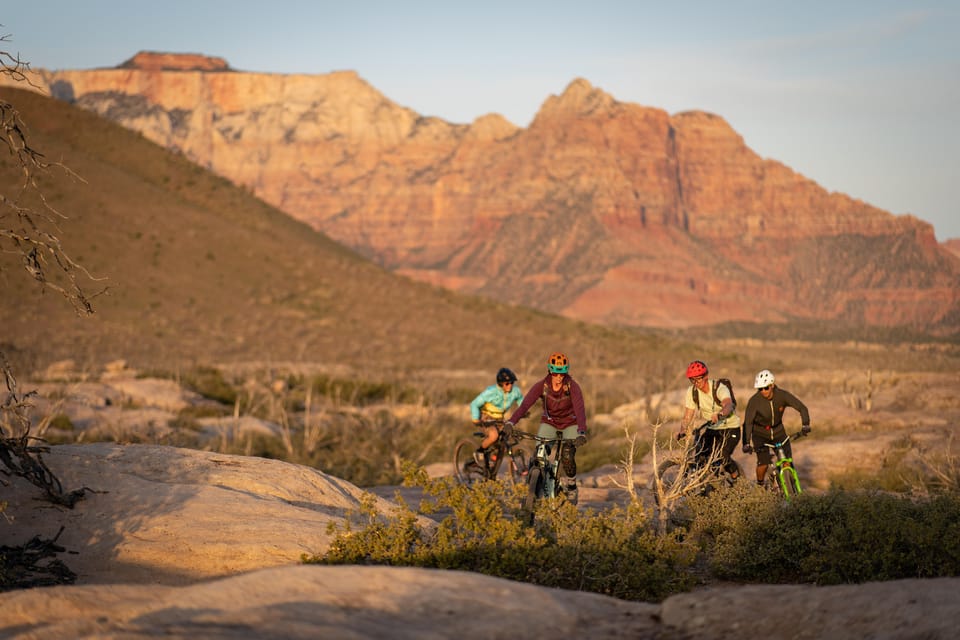 Zion: Guided Half Day Mountain Bike Tour - Booking Process and Options