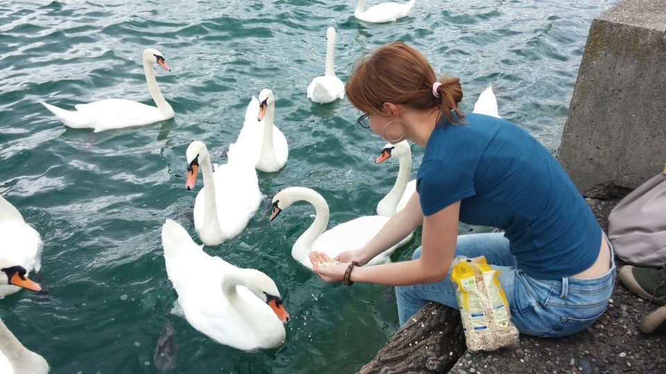 Zurich: Private Walking Tour With a Local Guide - Booking Process