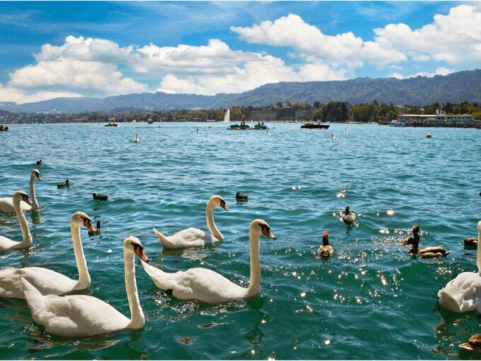 Zürich With Cruise and Lindt Home of Chocolate (Private) - Customer Reviews