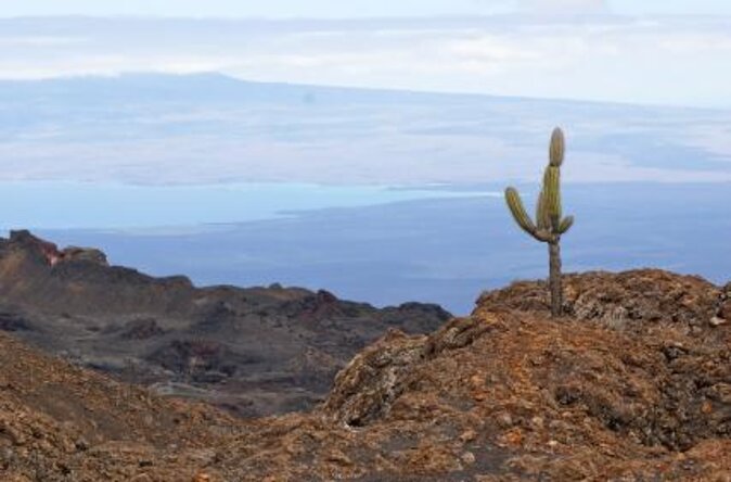 8-Day Galapagos Island Hopping Superior: Kicker Rock, Los Tuneles, Local Flight - Good To Know
