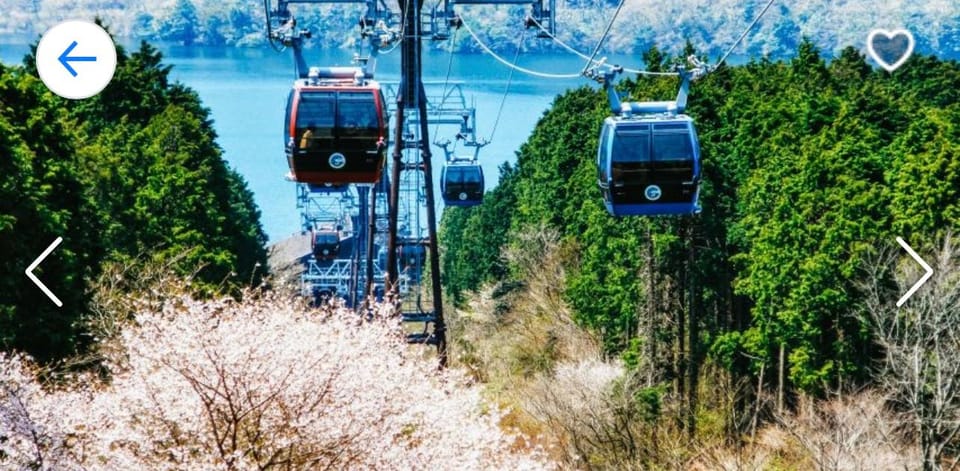 1 Day Mt Fuji Tour With Pick up and Drop off From Tokyo - Booking and Cancellation Policies