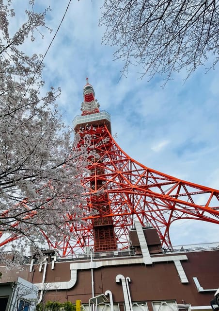 1-Day Tokyo Essence: Temples, Towers & Tradition Tour - Booking Information