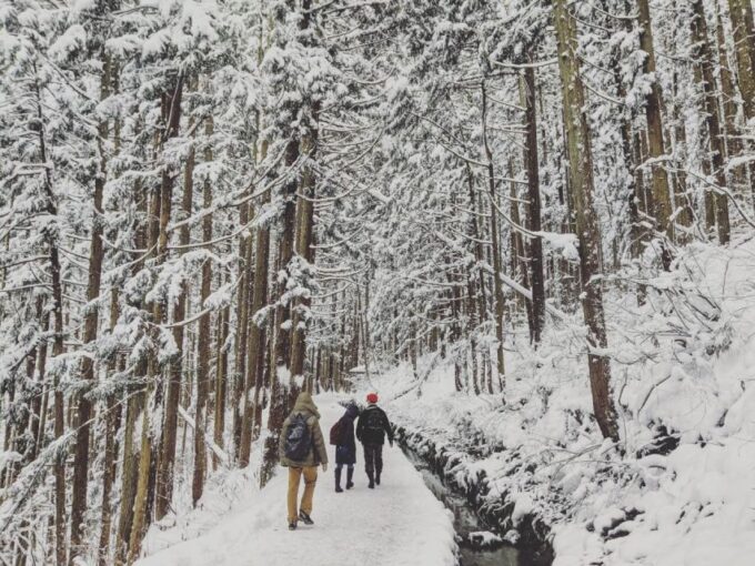 1 Day Tour: Snow Monkeys & Snow Fun in Shiga Kogen - Frequently Asked Questions