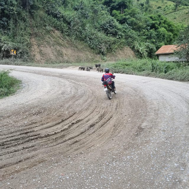 13 Days Adventure North Vietnam to Laos on Motorbike - Cultural Insights and Experiences