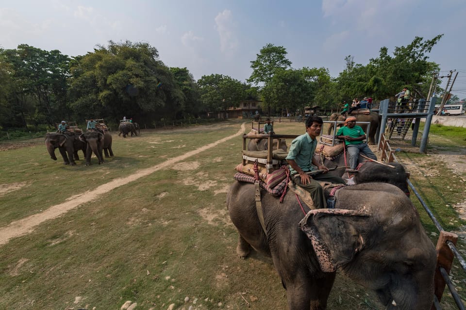 3-Day Chitwan National Park Jungle Safari Tour Kathmandu: - Booking Details and Tips