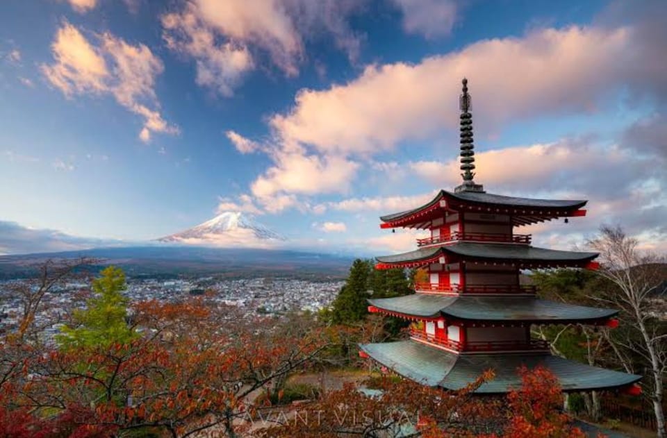 3 Days Japan Tour Tokyo , Mt Fuji and Nikko (English Driver) - Booking and Cancellation Policy