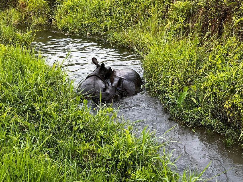 3 Nights 4 Days Chitwan National Park With Tower Night Stay - Booking Information