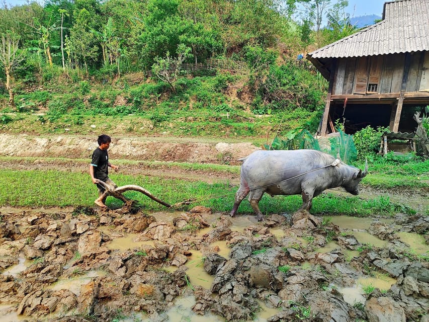 6-Days Sapa Trekking & Ha Giang Loop Motorbike Tour - Customer Reviews