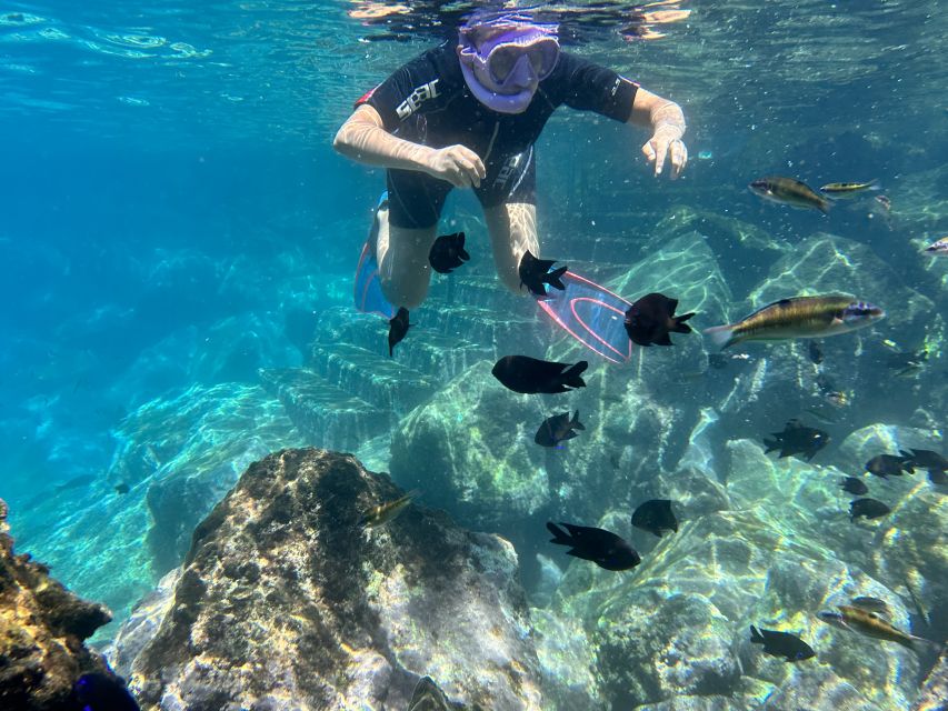 Abades: Guided Snorkeling Tour With Photos - Booking and Cancellation