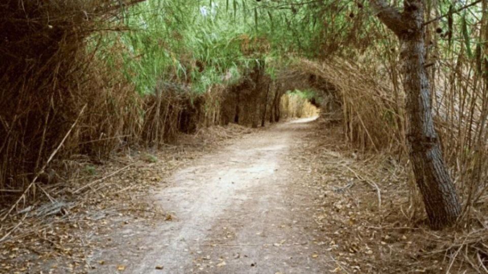 Active Bike Tour: River Turia Natural Park. - Tour Guide and Group Bookings