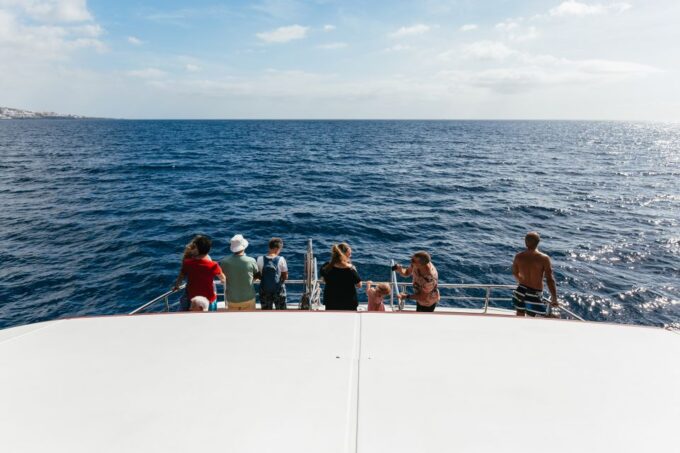 Adeje: Whale and Dolphin Watching With Lunch and Swimming - Getting to the Starting Location