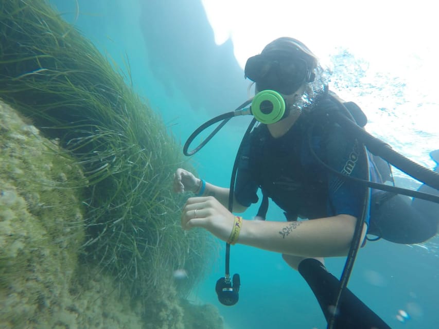 AGRIGENTO WWF COAST: Baptism of the Diver Experience - Safety Considerations