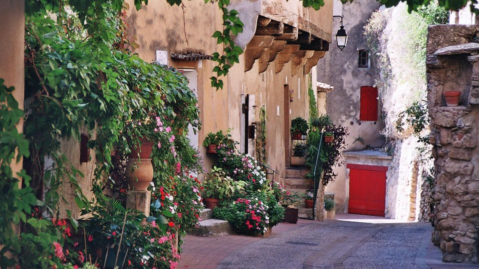 Aix En Provence and Avignon City of Popes Private Tour - Cancellation Policy